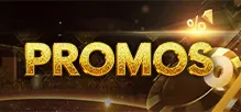 WinPlus Casino bonuses and promotional offers